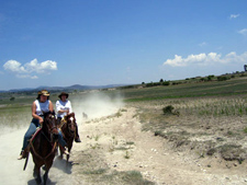 Mexico-Central Mexico-Rancho Mexicana - Colores de Mexico